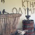 Olympia & Wine Flavors (Ancient Site and Winery) 7