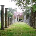 The Highlights of Olympia – site, monastery and Agios Andreas beach 09