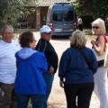 small group olive oil tasting tour