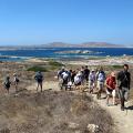 The Light of Mykonos with a tour of Delos Islet 04